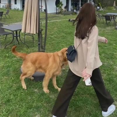 导火新闻线